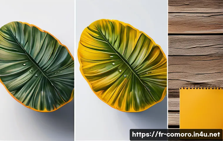 코모로 인구와 출산율 통계 - Here are three detailed image generation prompts in English, adhering to all the specified guideline...