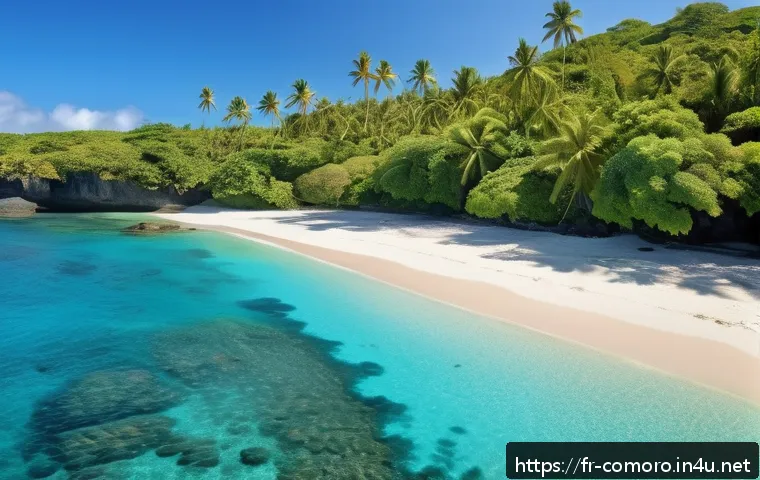 코모로 리조트와 해변 비교 - A serene, secluded white sand beach on the Comoros islands, bordered by crystal-clear turquoise wate...